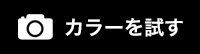 カラーを試す